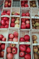 Äpfel und Birnen vom Vierlindenhof, Werder © FM Rohm