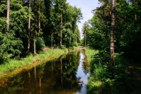 Wasserlauf im Spandauer Forst © FM Rohm
