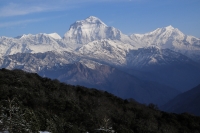 Daulaghiri, Annapurna South von Gorapani aus 