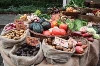 Obst und Gemüse aus dem Umland © FM Rohm